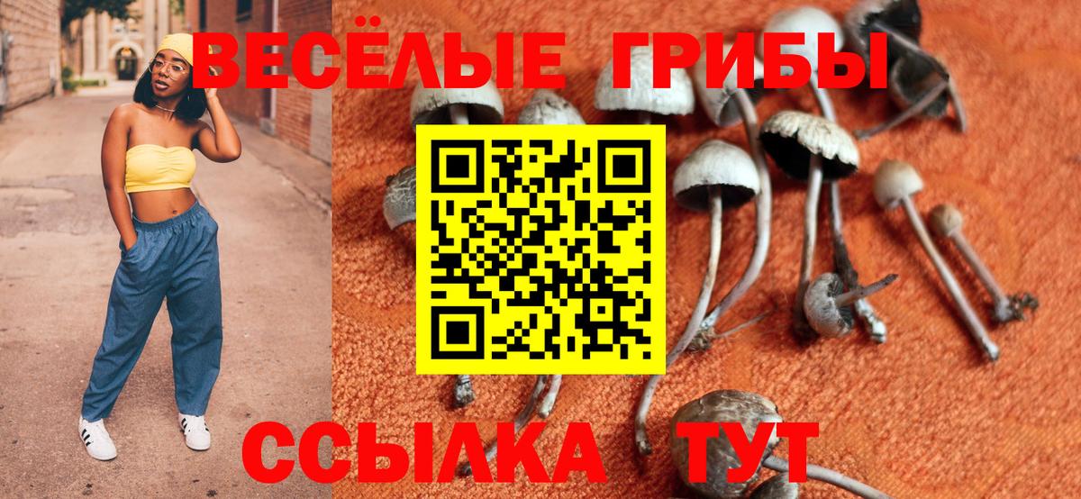 Галлюциногенные грибы мухоморы Воронеж