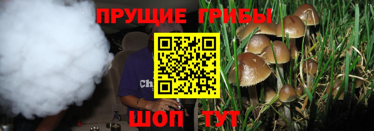 Галлюциногенные грибы прущие грибы  Псилоцибиновые грибы GOLDEN TEACHER  Воронеж  Вход с VPN 
